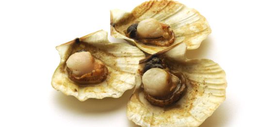 Ricetta Canestrelli al forno