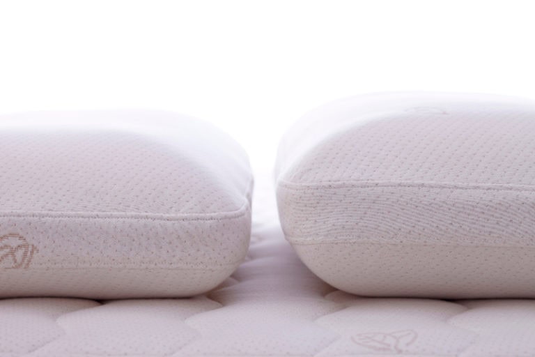 Organic Latex Oxygen Pillow by European Sleepworks Cuddle Ewe