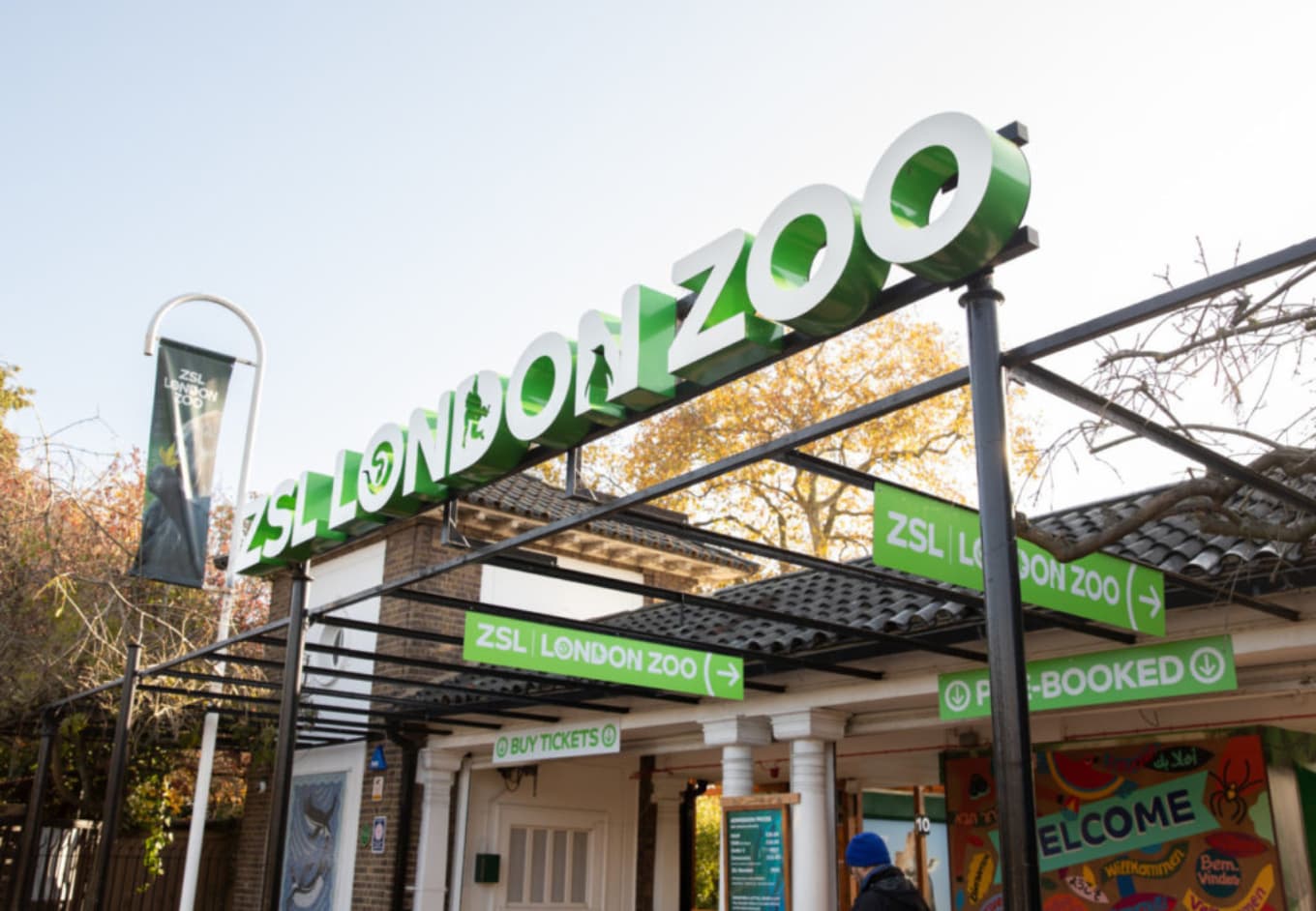 ZSL London Zoo The Ultimate Visitor’s Guide CuddlyNest