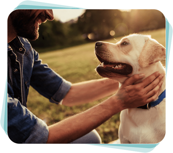 Dog Walker Jobs a Dog Walker & Sitter NYC