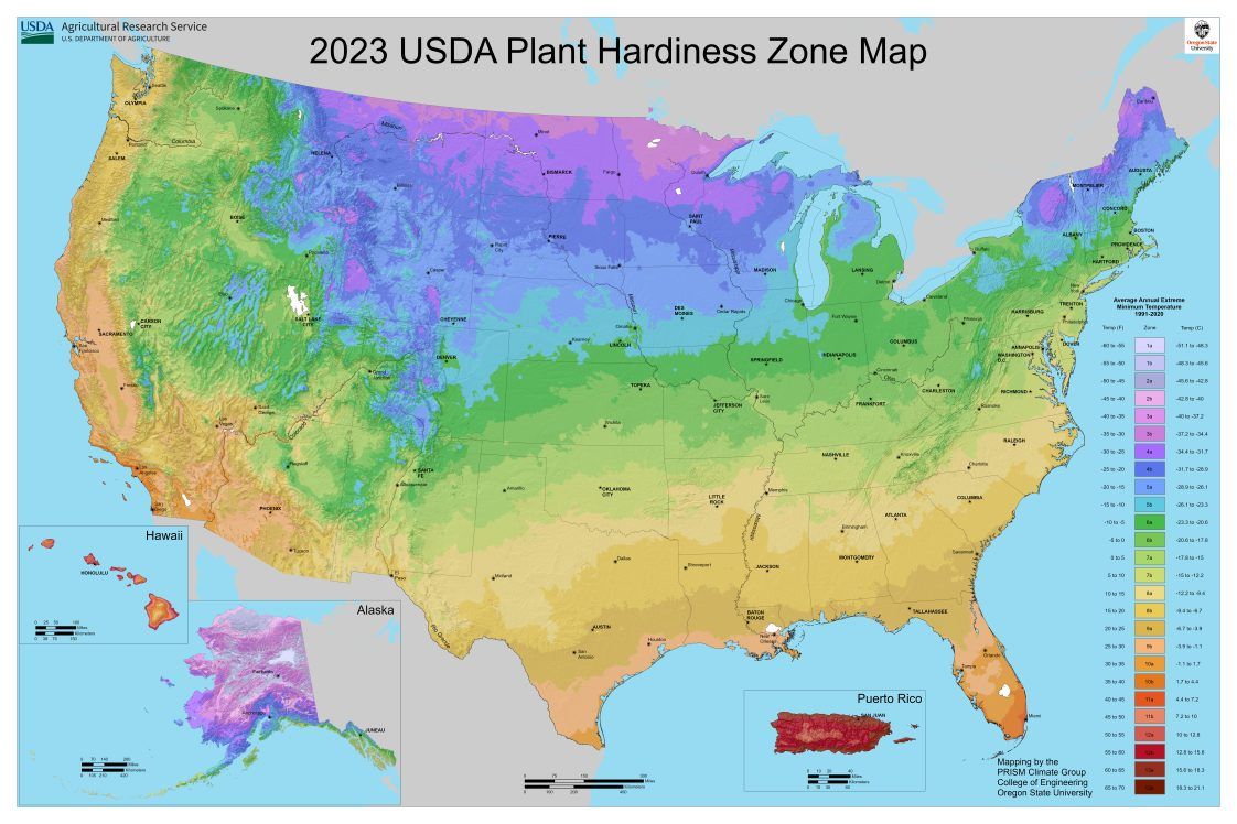 Us Planting Zones 2024 silva lorilee