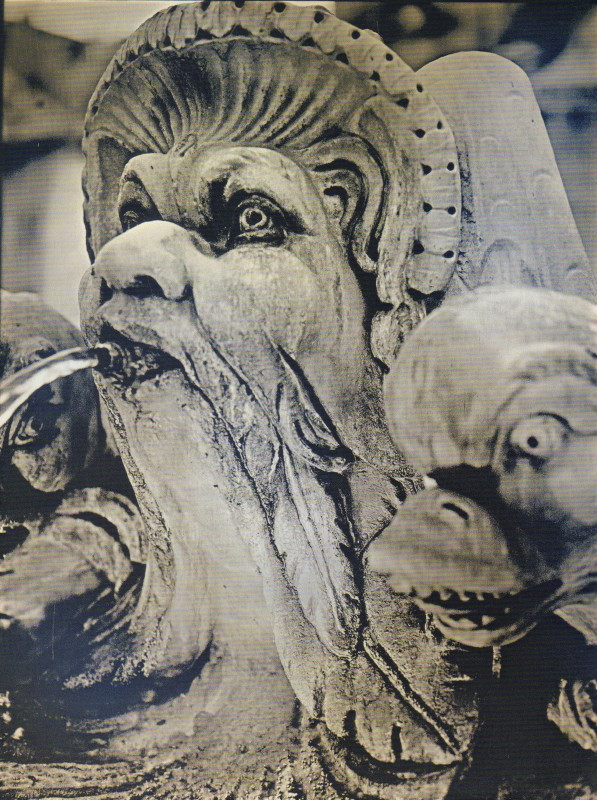 LAGERFELD, Karl. The Glory of Water Daguerreotypes. Cult Jones