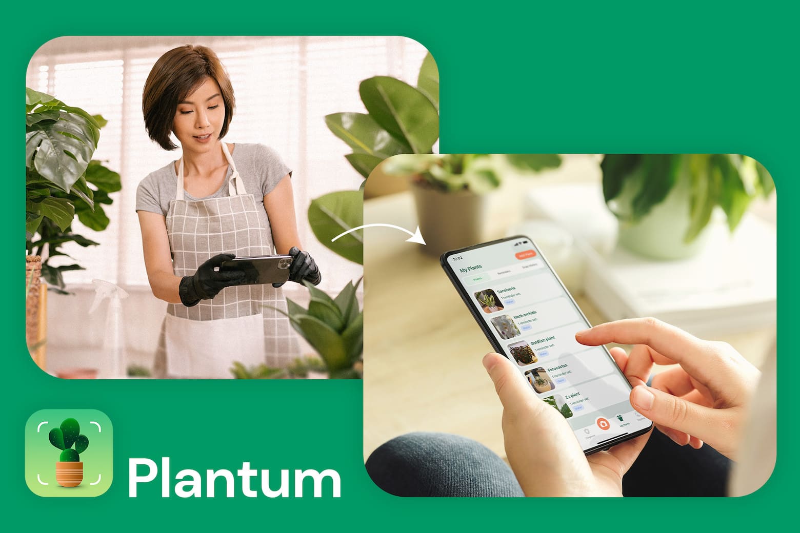 Plant ID app Plantum lets you use your iPhone to identify plants