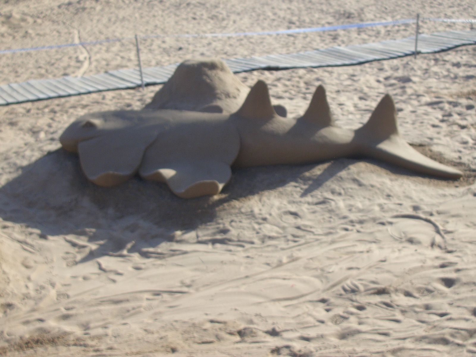 Canary Islands Sand Sculptures The Cunning Canary