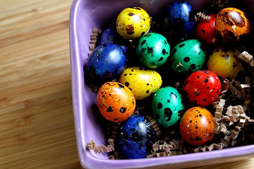 How to Perfectly Hard Boil a Quail’s Egg A Cup of Sugar … A Pinch of