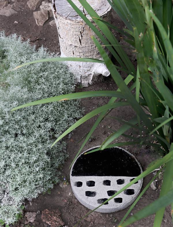How to DIY Painted Concrete Stepping Stones Curbly