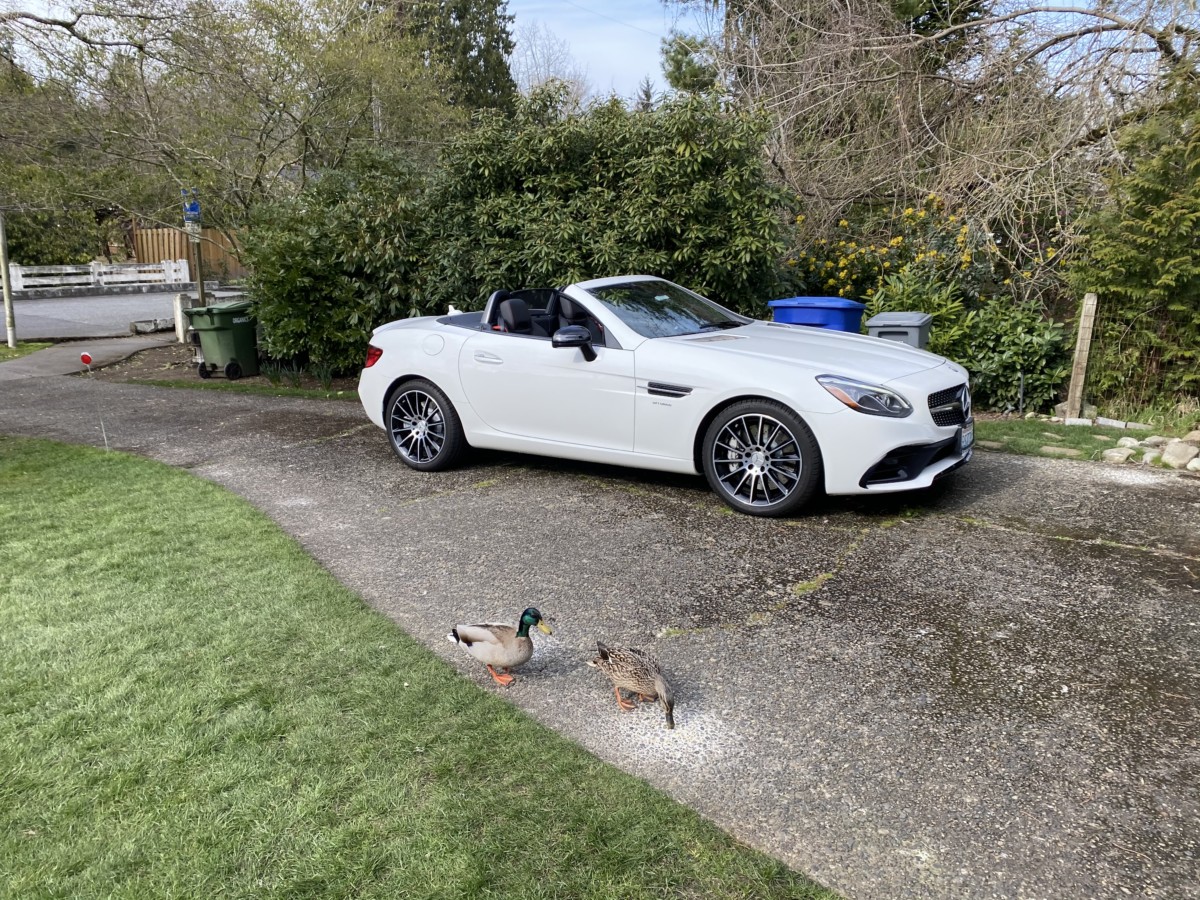 COAL The Mercedes Years Curbside Classic