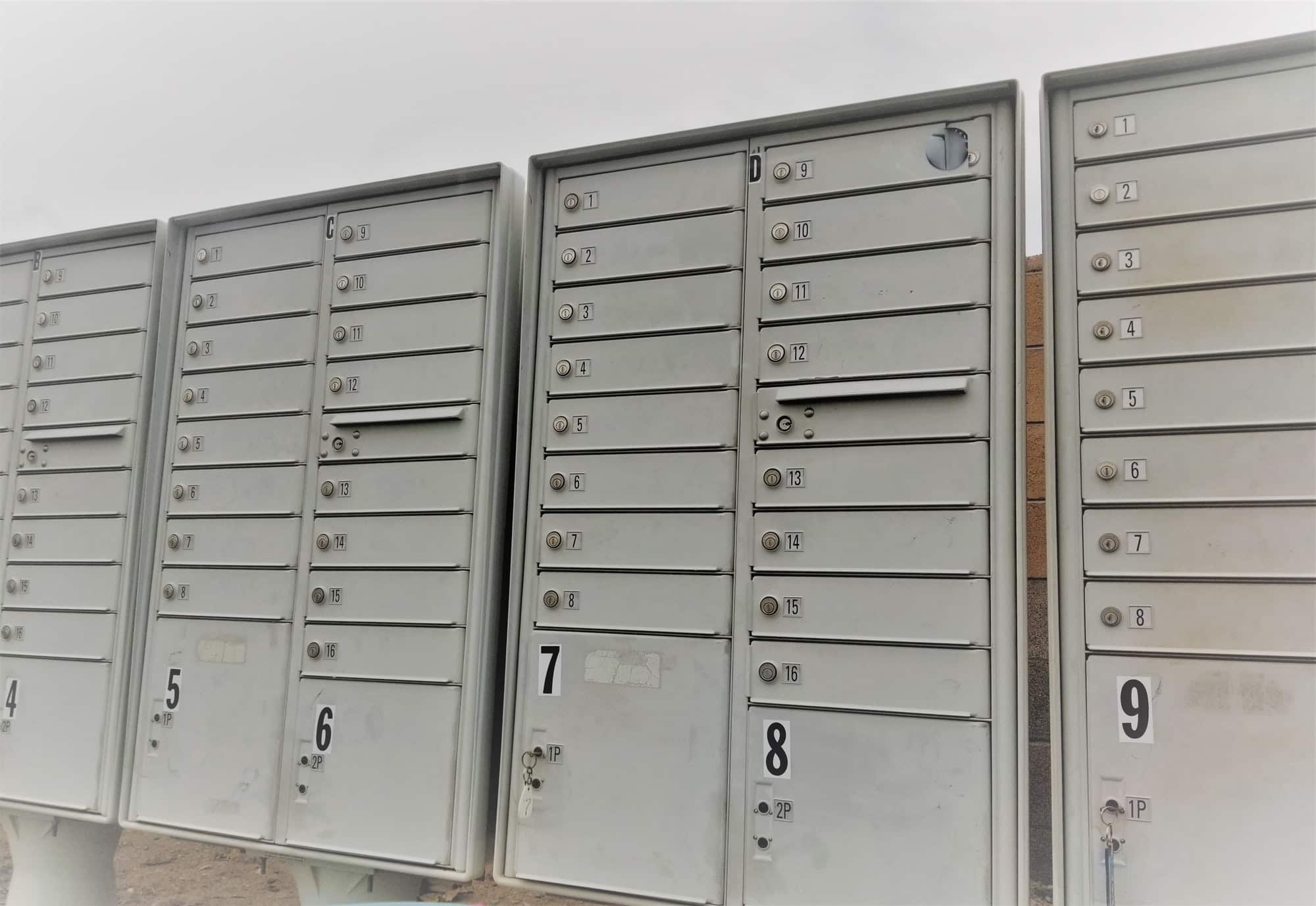 Top 4 Virtual Mailbox Services for Business (Breakdown) CuriousCheck