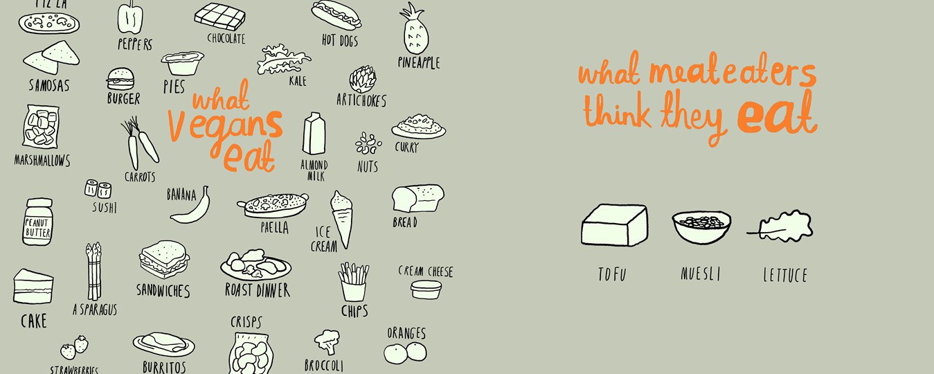 Being Vegan Is A Way of Life — Curious Halt