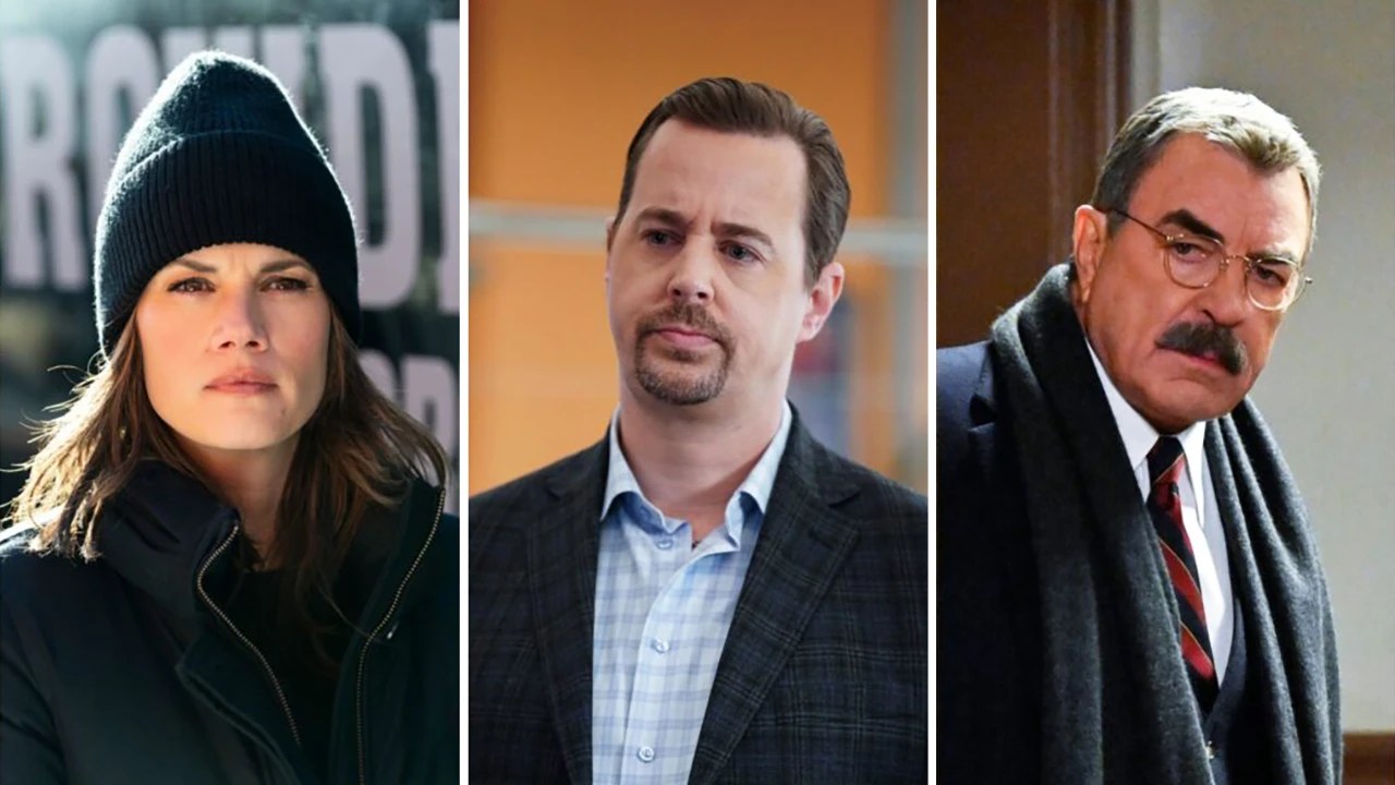 NCIS and Other Similar Shows Need To Be Canceled Curious World