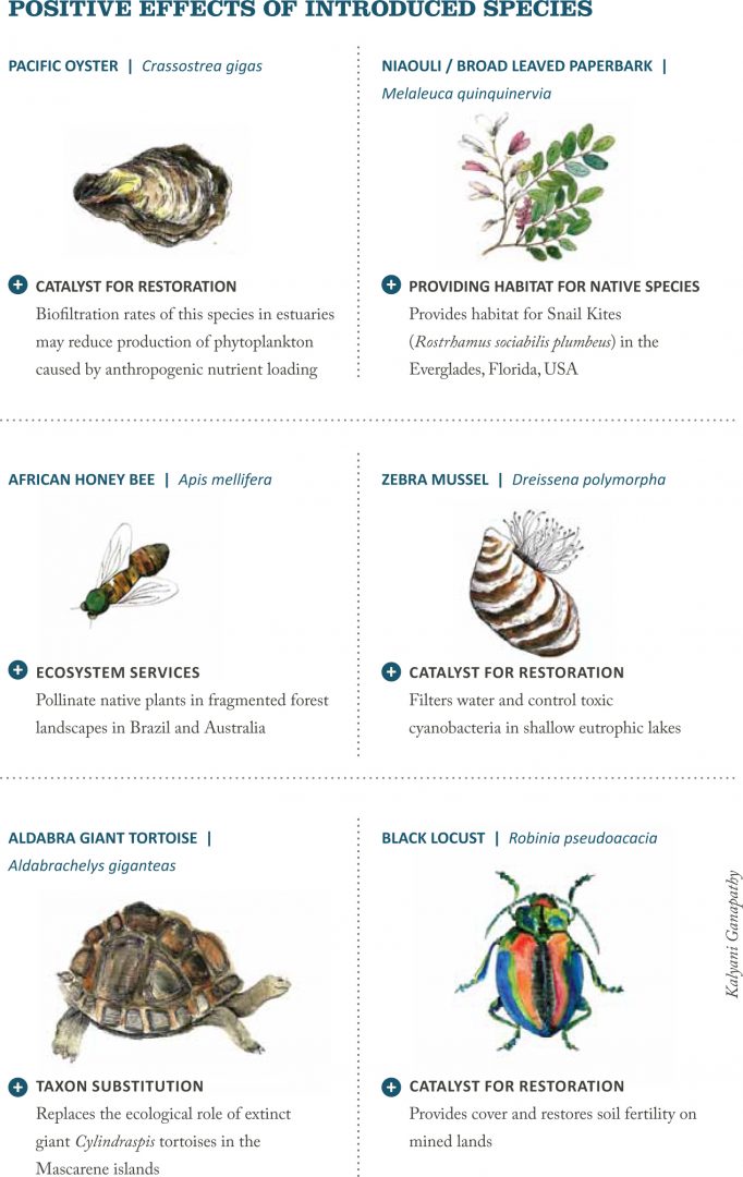 A new look at nonnative species Current Conservation