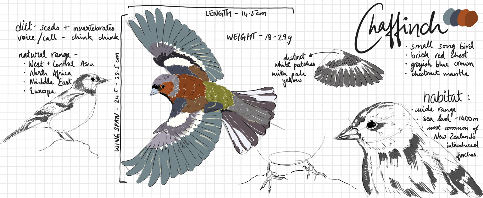 Digging into Evolutionary Time Extinctions in the