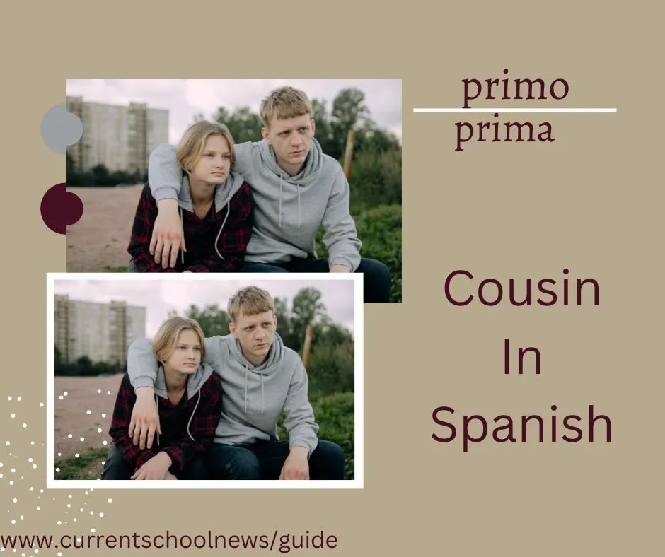 How to Say Cousin in Spanish CSN Lingo Guide