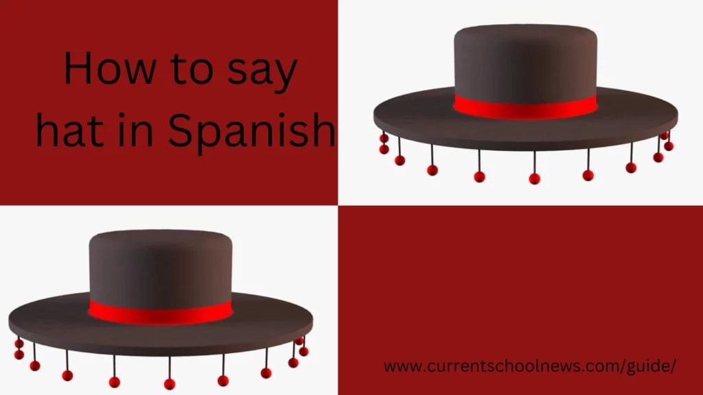 Hat in Spanish Basic Phrases and Translations