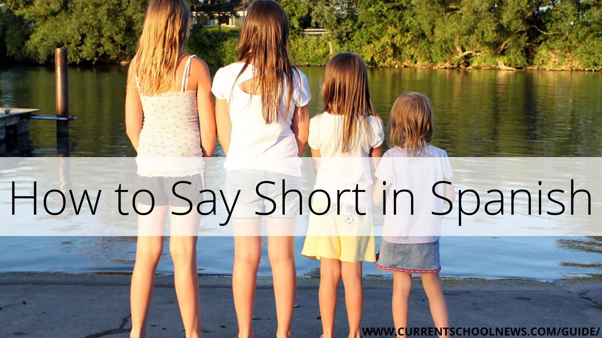 How to Say Short in Spanish A Quick Guide