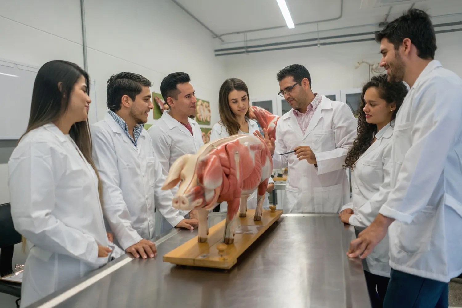 10 Best Veterinary Colleges in the U.S. 2023 Update Current School News
