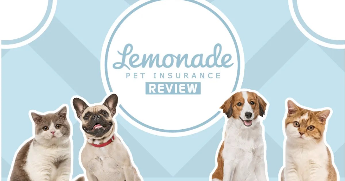 Lemonade Pet Insurance A Comprehensive Review Current School News