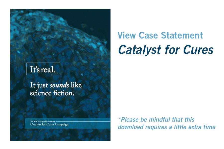 Create a Powerful Case Statement for Your Biomedical Nonprofit