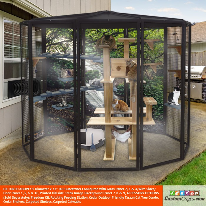 Outdoor Cat Enclosures Custom Build Your Own