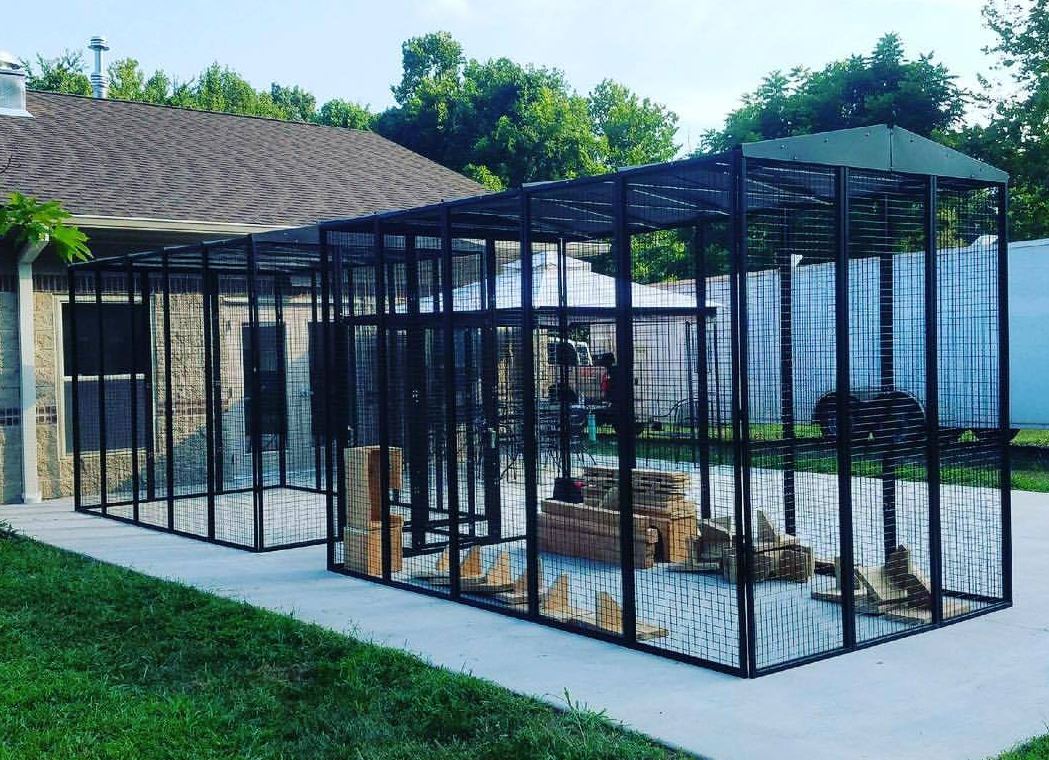 SunCATcher Cat Cage Testimonials Custom Cages Custom Cages