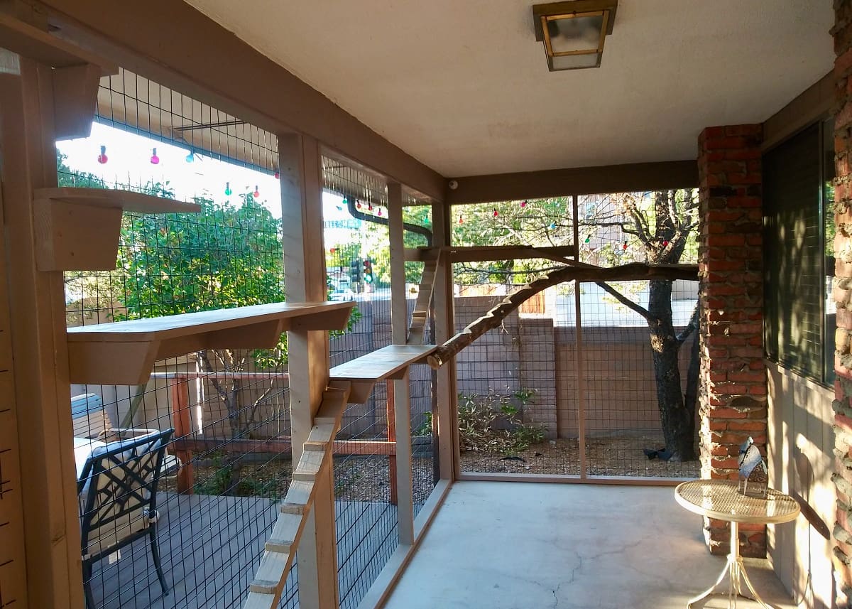 EXPERT BUILDER SERIES 12 WITH THE CATIO MAN Custom Catios