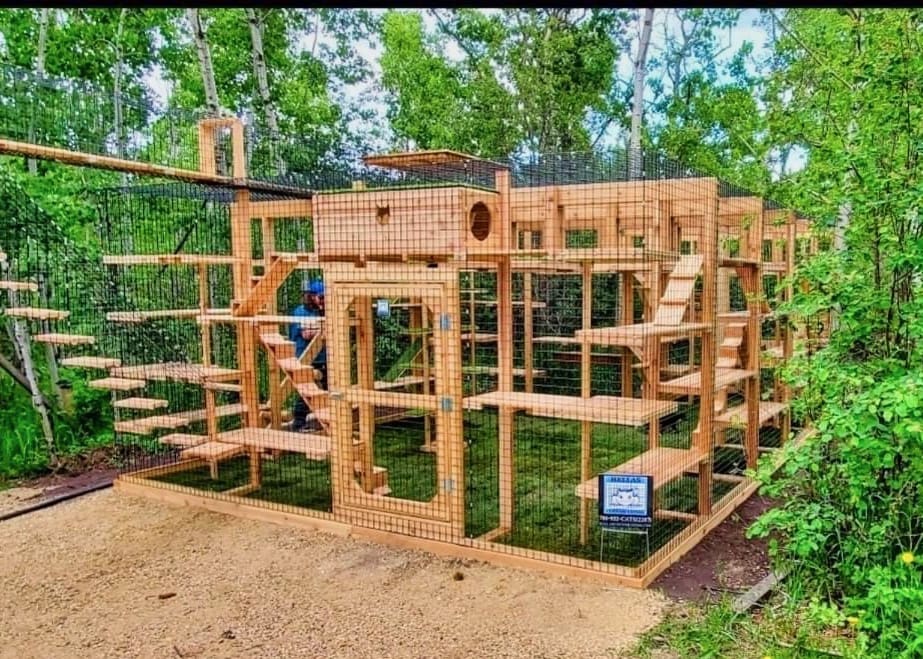 2023 Worldwide Custom Catio Builders Custom Catios