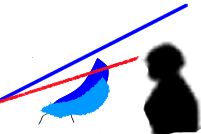 Motorcycle Windshield Windshield Height guide