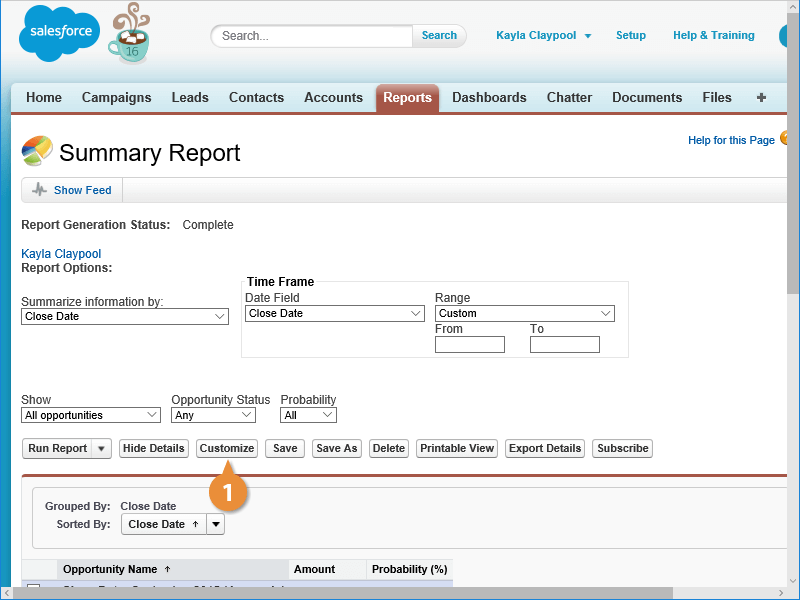 Work with Charts CustomGuide
