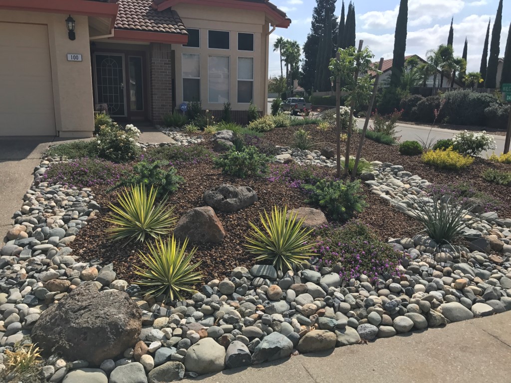CUSTOM PLANTINGS Premium Landscape Makeovers