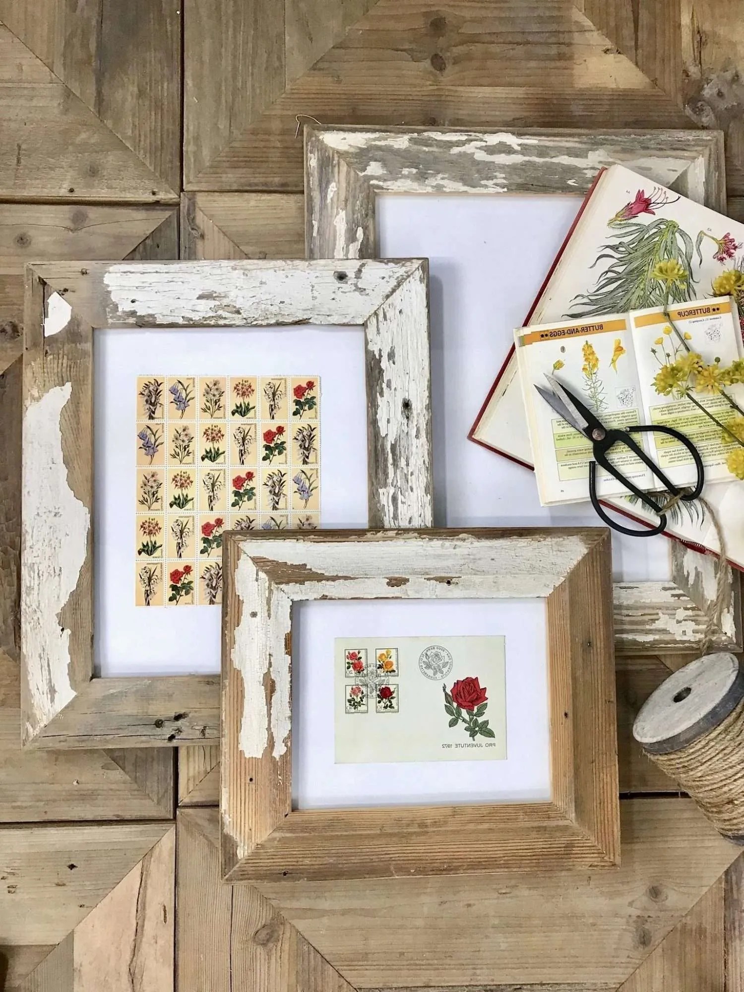 Tips to Framing Vintage Prints & Collections CuterTudor