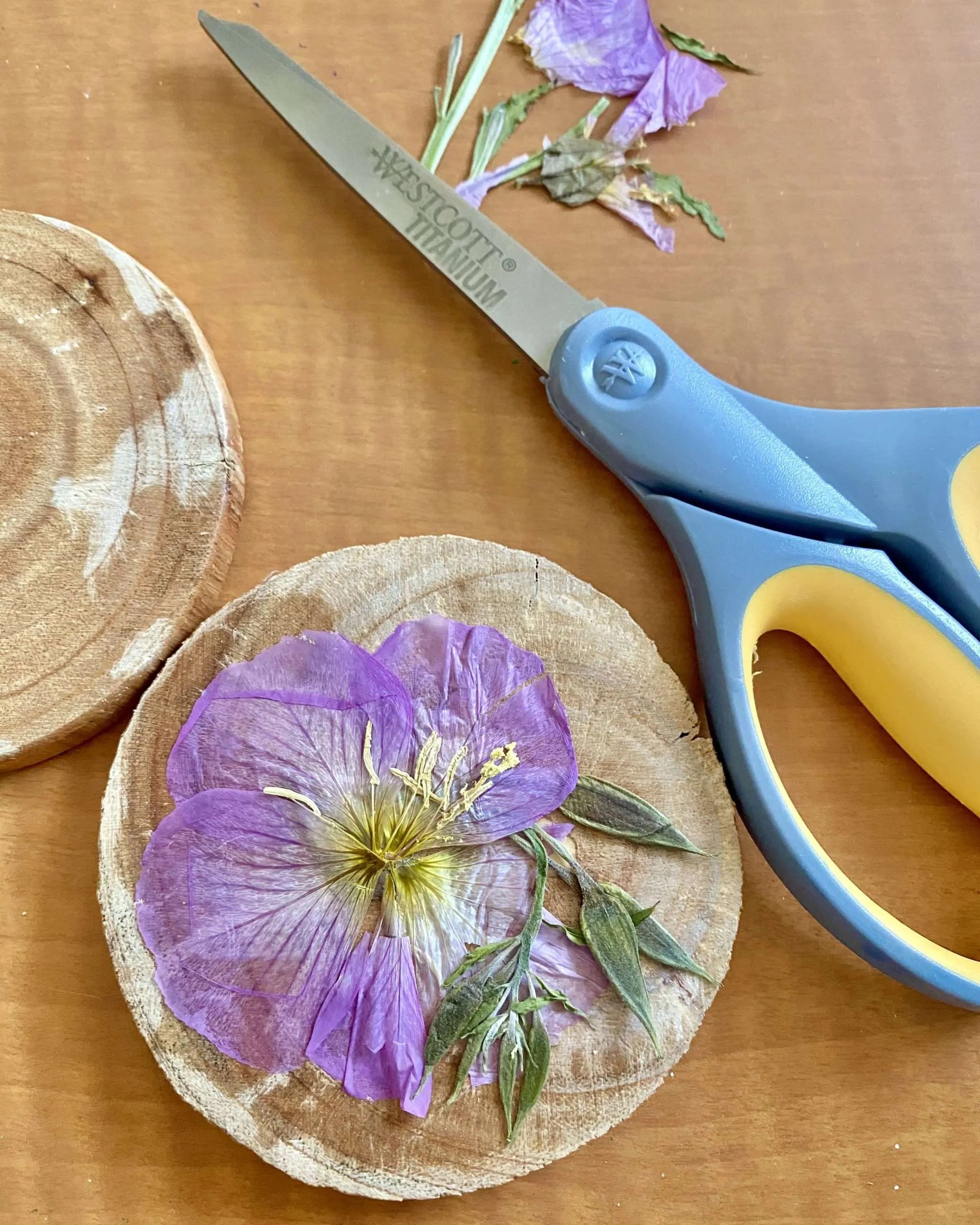 How to Make Pressed Flower Coasters CuterTudor