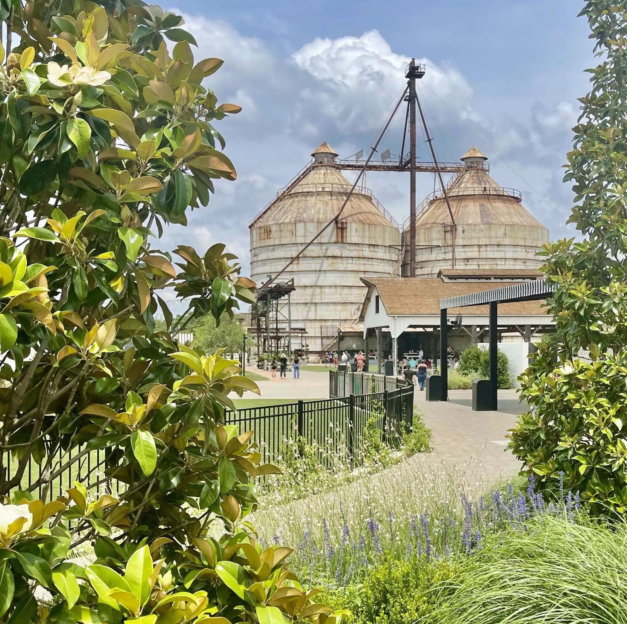 Waco, Texas Magnolia Summer 2022 CuterTudor