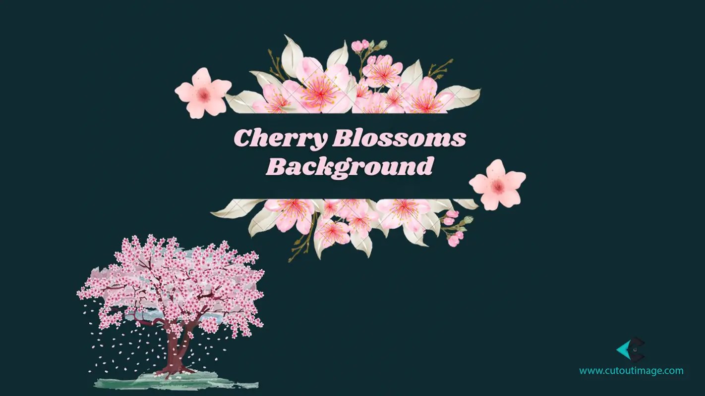 Cherry Blossoms Background [Great Ideas and Tips]