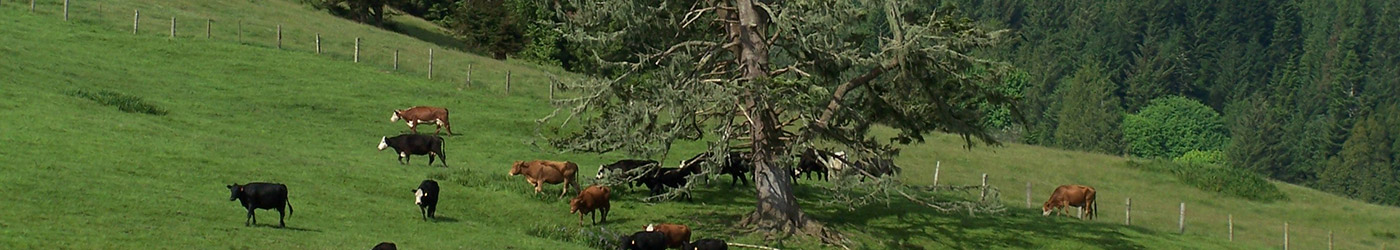 Humboldt County, CA Real Estate Search All Homes and Land For Sale in Humboldt County