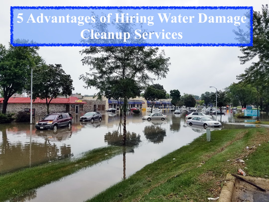 5 Advantages of Hiring Water Damage Cleanup Services in San Diego