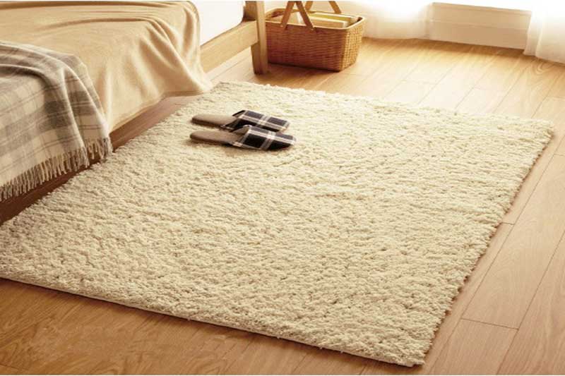 How to Take Care of Your Carpet Construction Ventures Guide