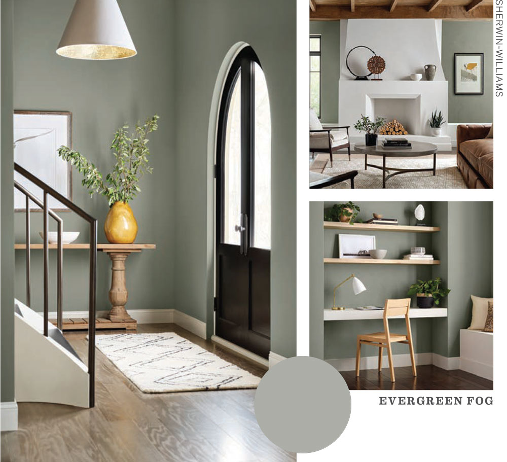 Color Your World What’s Trending In Paint Colors for 2022 Central
