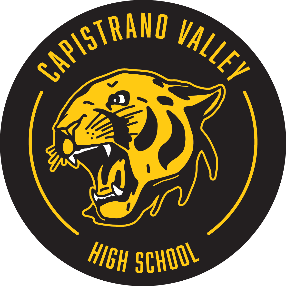 Capistrano Valley High School Official Style Guide, Fonts & Logos
