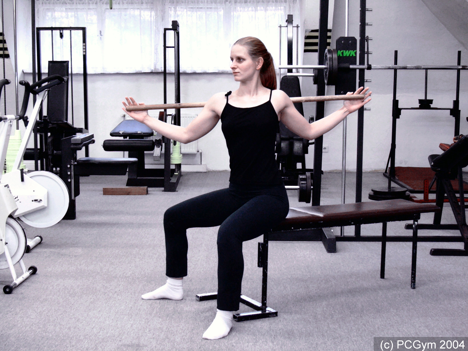 Výkruty v sedu (seated bar twists, broomstick twists) cviky.cz