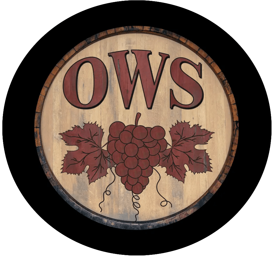 Logo and Branding Design Creative Visions