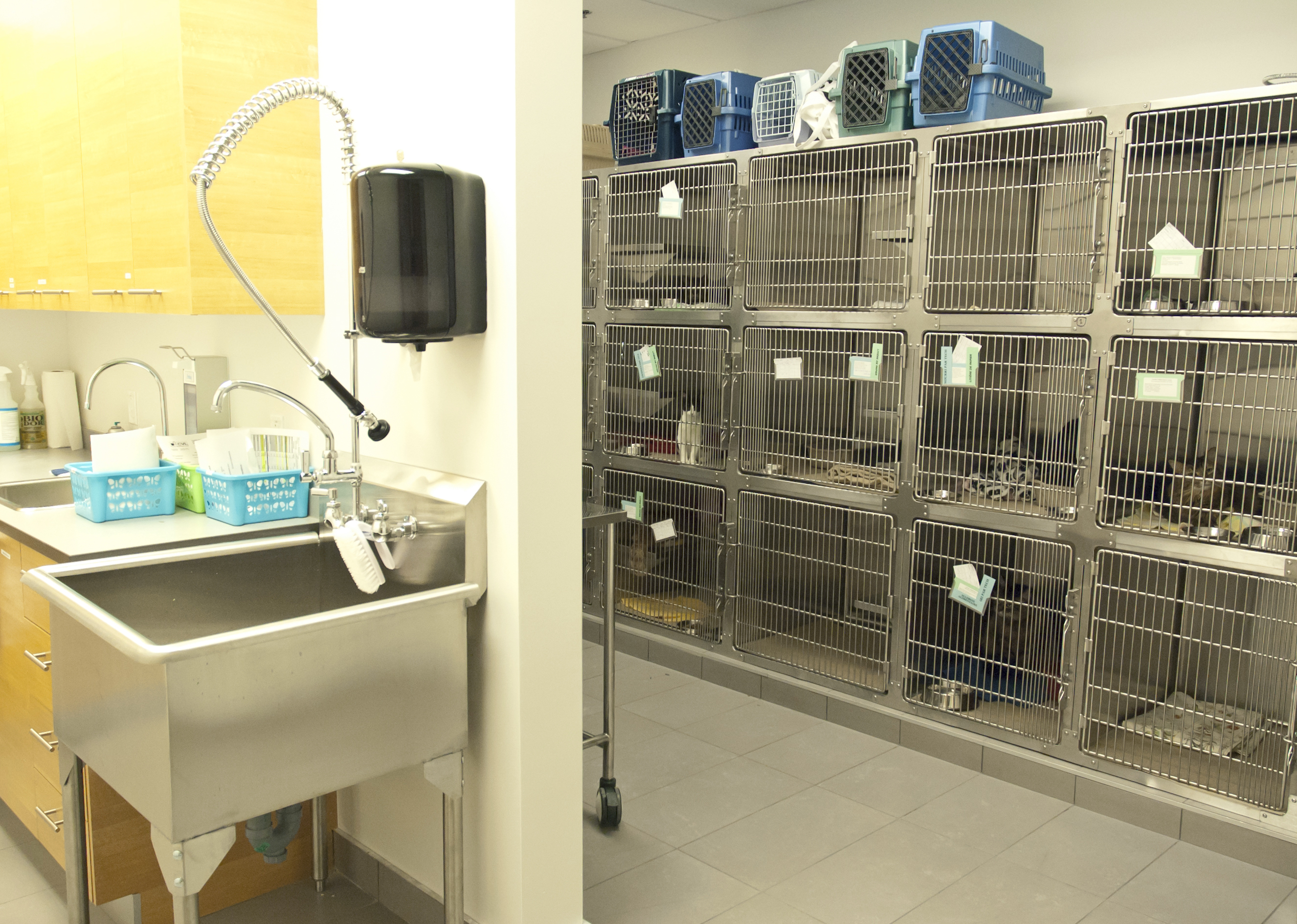 Chatterie_0.jpg Centre Vétérinaire Laval