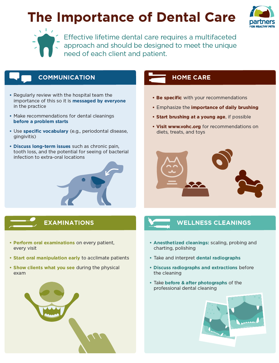 Dentistry Home Dental Care