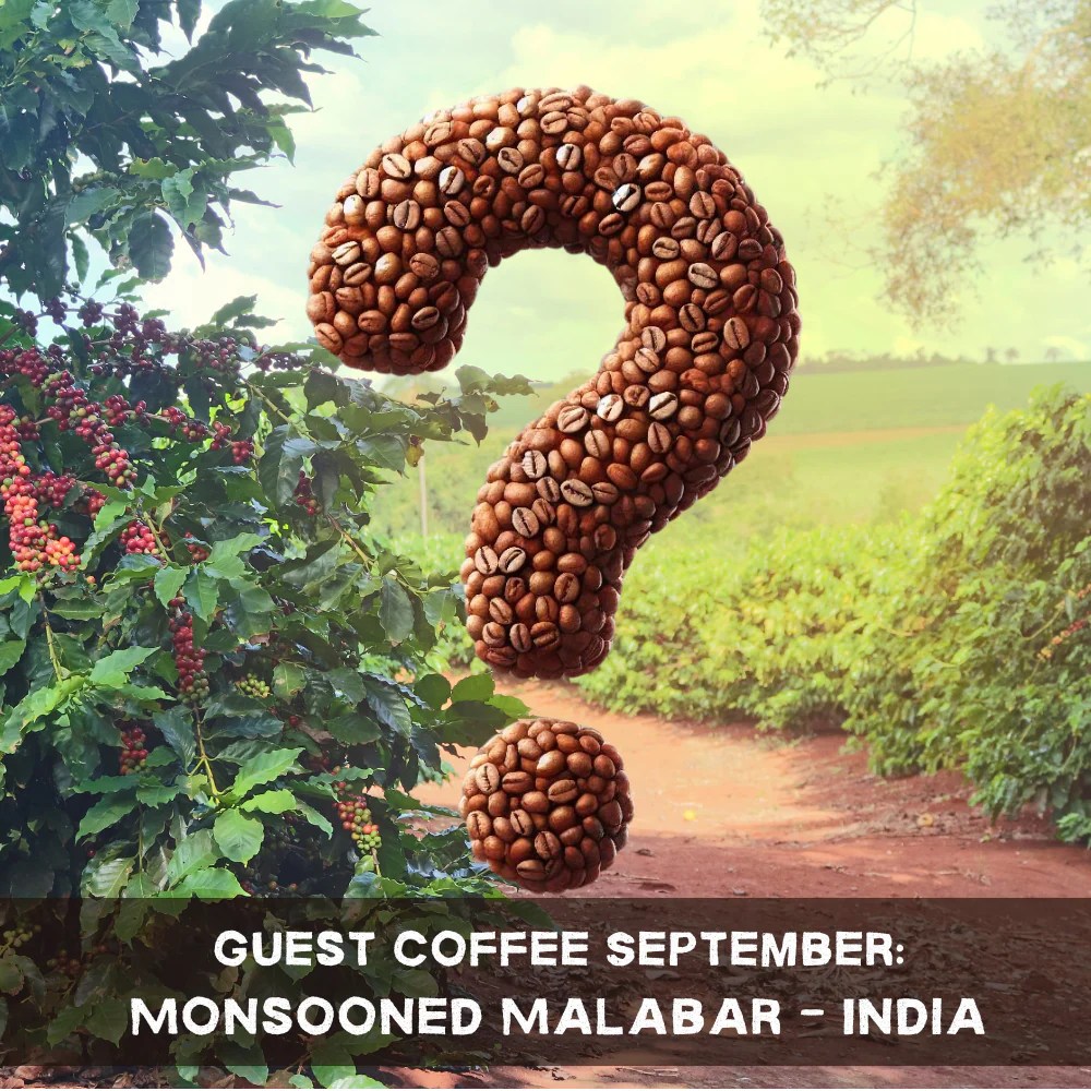 Coffeeworks Discovery Coffee Bundle September 2024 The Coffeeworks