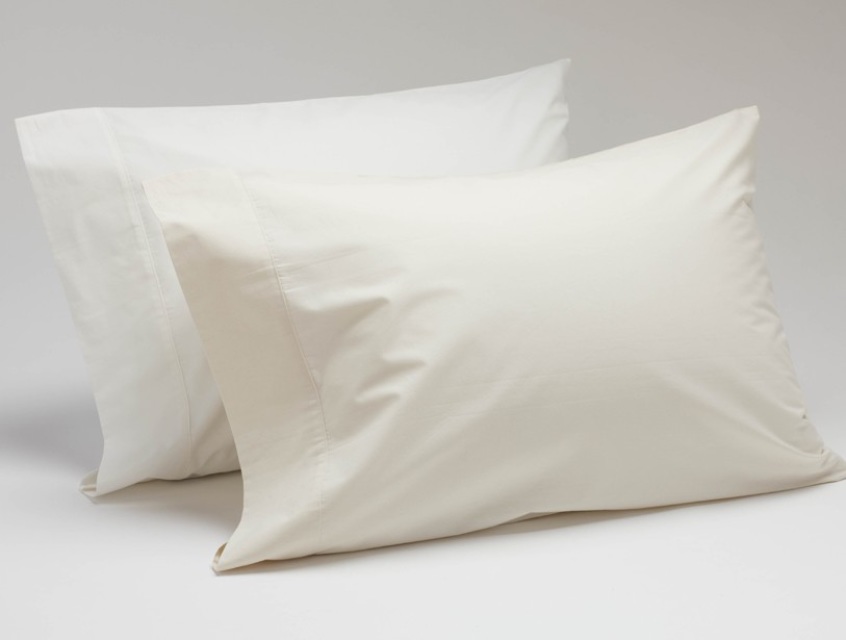 Discover What Type of Pillows Do Hotels Use?
