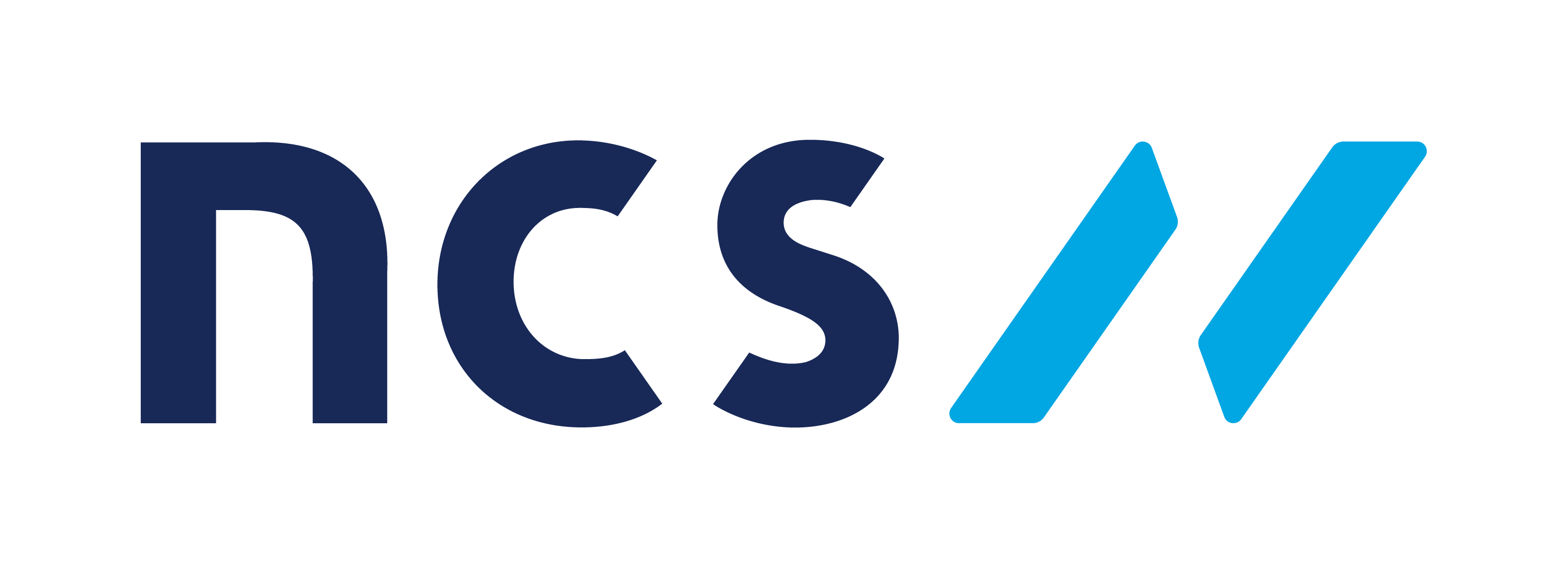 NCS Pte Ltd CyberArk