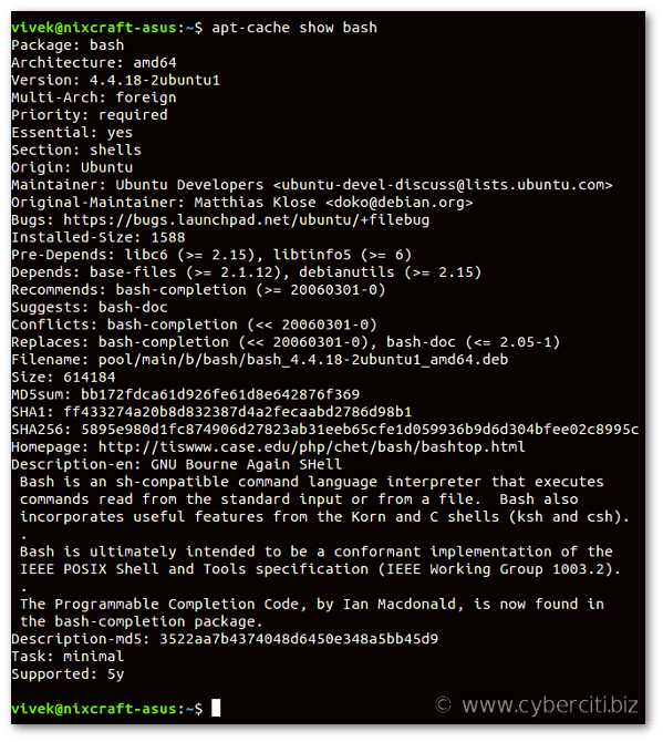 How do I check my bash version? nixCraft