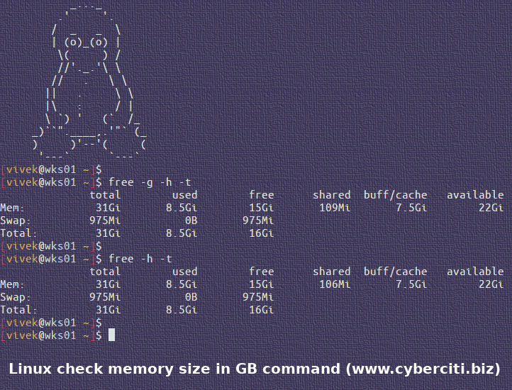 How to check memory size in GB in Linux nixCraft