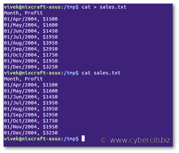 How to create a file in Linux using the bash terminal nixCraft