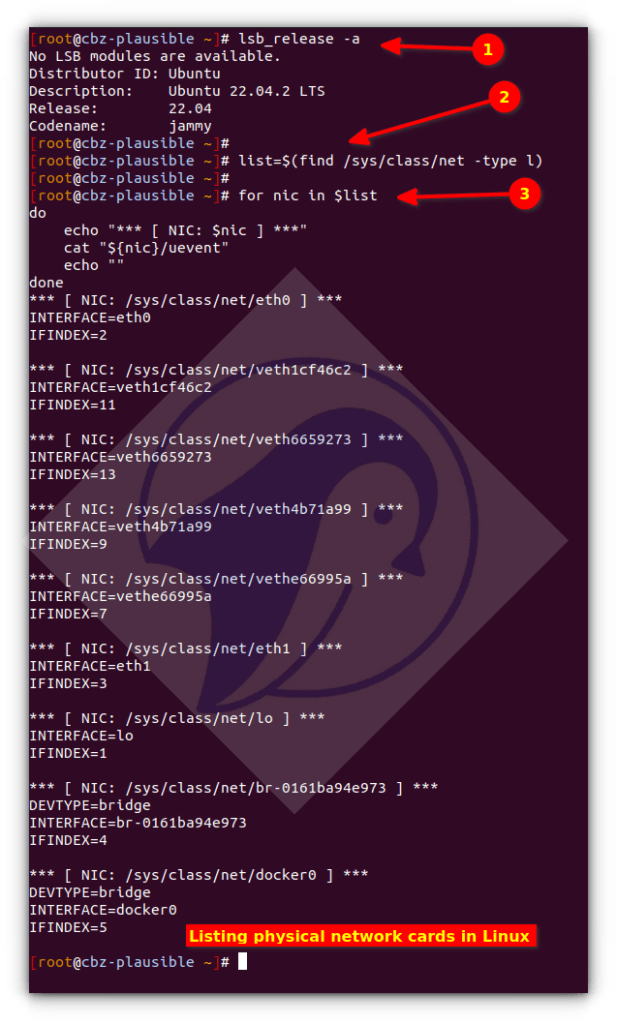 Linux Show / Display Available Network Interfaces nixCraft