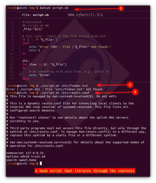 How To Bash For While Loop Through File Contents Script nixCraft